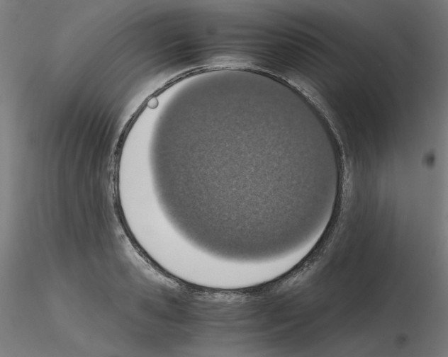X0000115620941200912221225