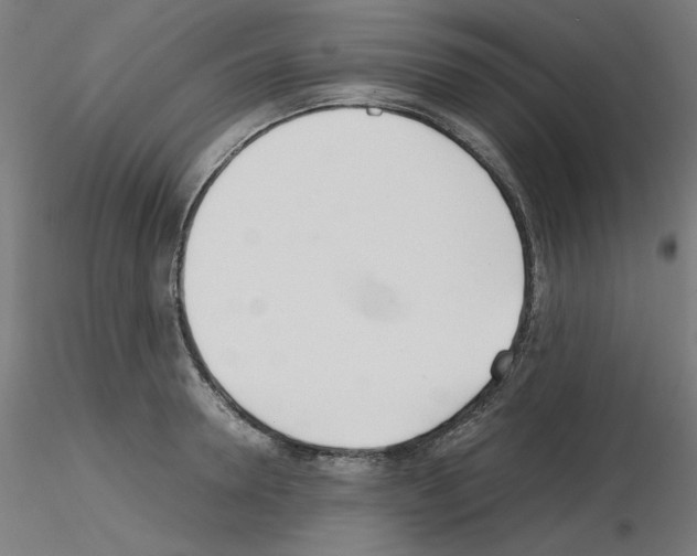 X0000115620946200912221225