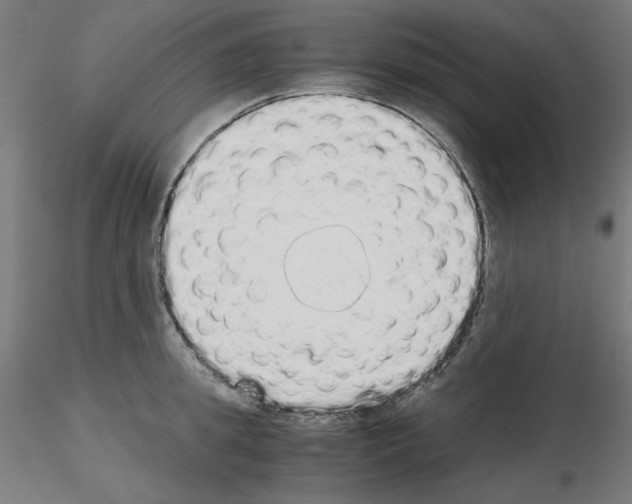 X0000115620949200912221225