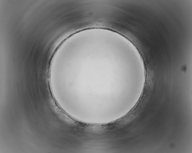 X0000115620950200912221225
