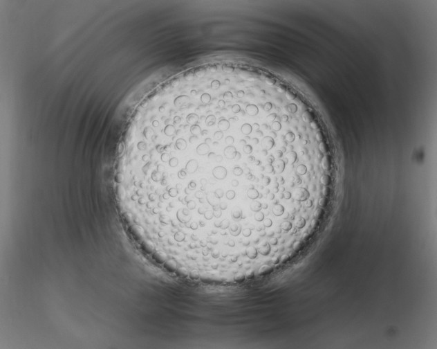X0000115620953200912221225