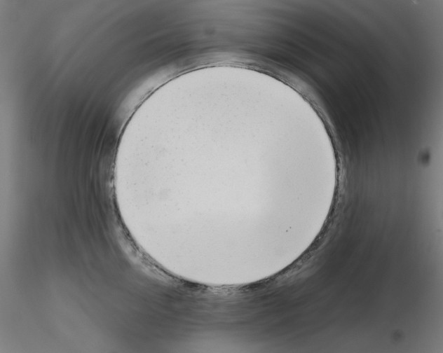 X0000115620954200912221225