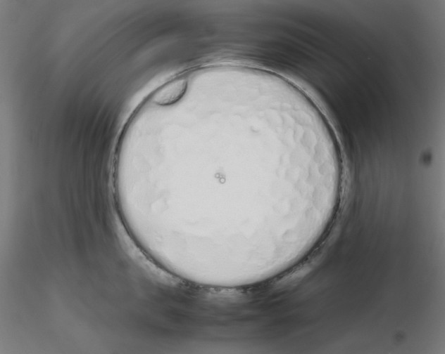 X0000115620957200912221225