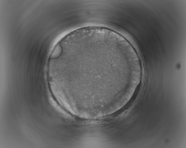 X0000115620958200912221225