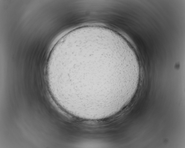 X0000115620959200912221225