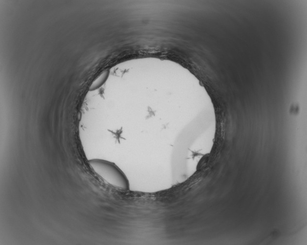 X0000115620961200912221225