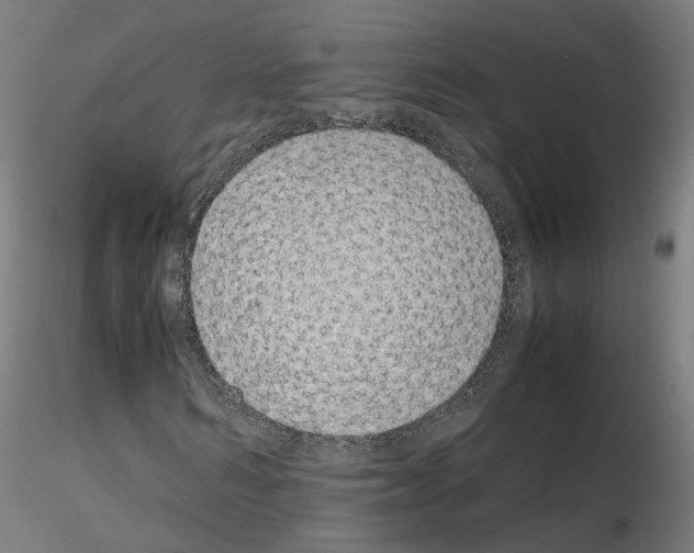 X0000115620962200912221225
