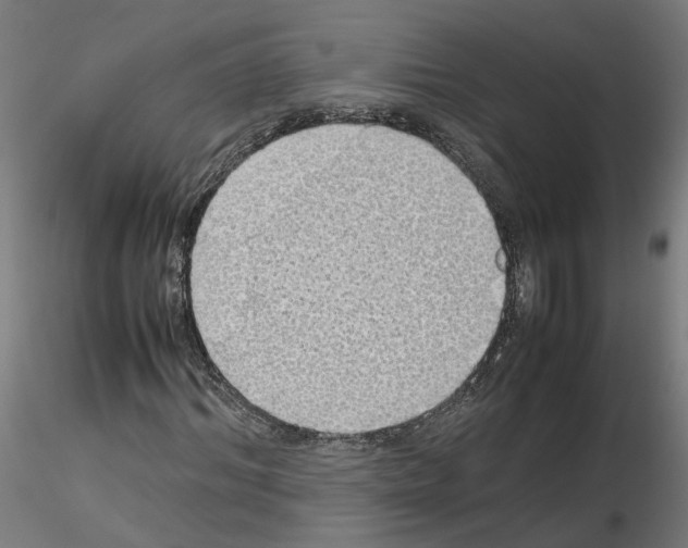 X0000115620964200912221225