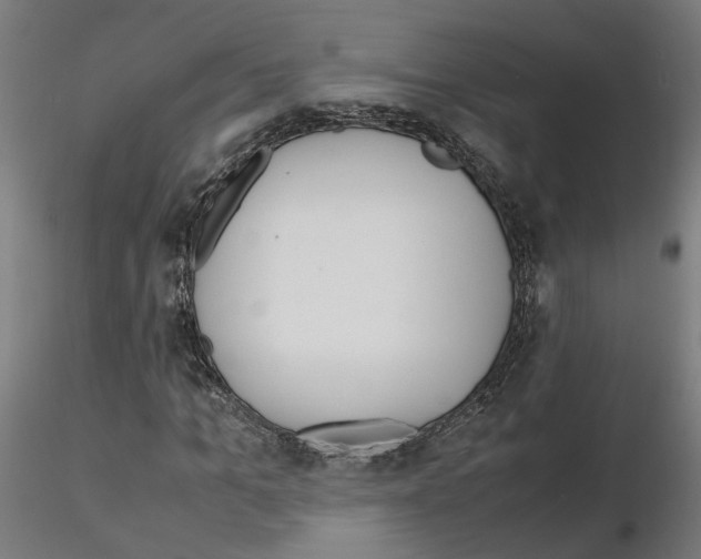X0000115620965200912221225