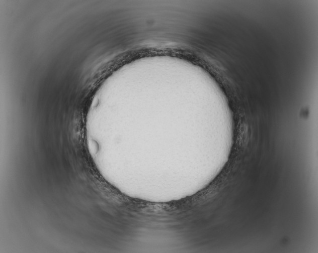 X0000115620966200912221225