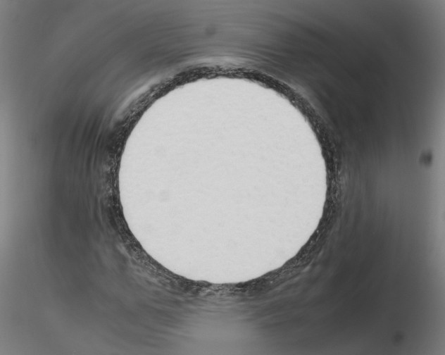 X0000115620967200912221225