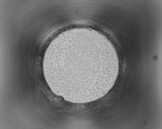 X0000115620968200912221225