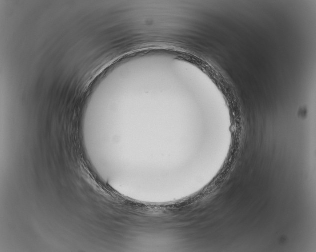 X0000115620969200912221225