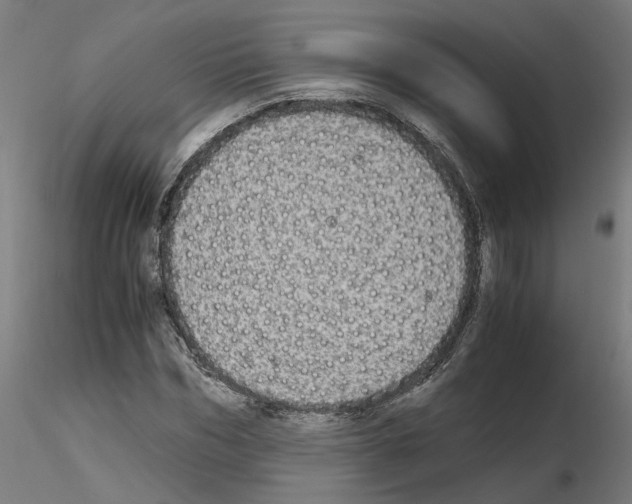 X0000115620970200912221225