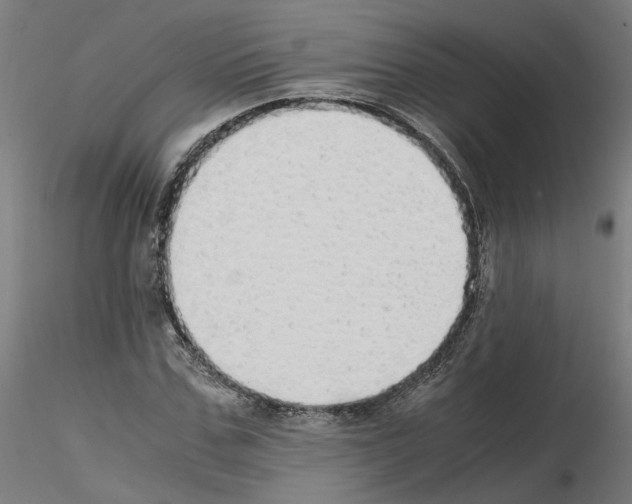 X0000115620971200912221225