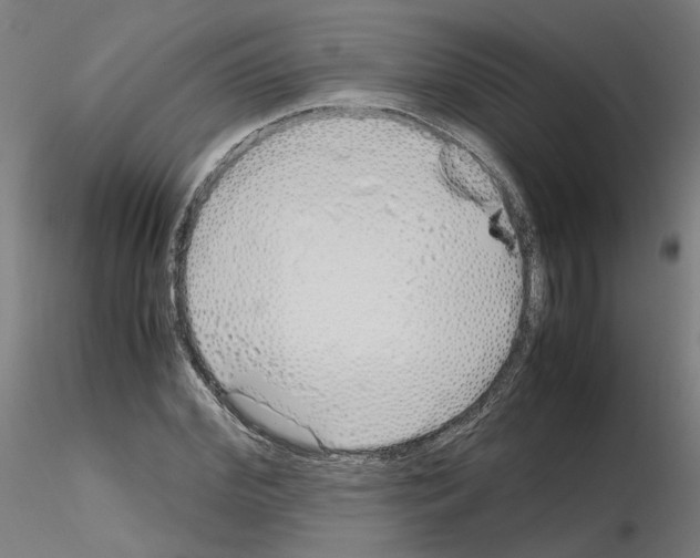 X0000115620972200912221225