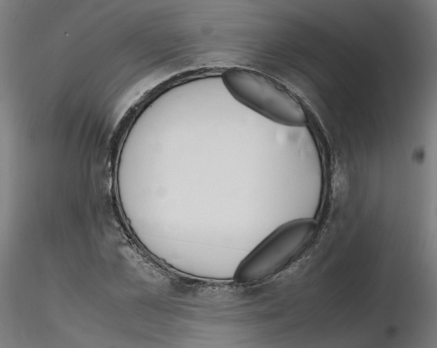 X0000115620973200912221224