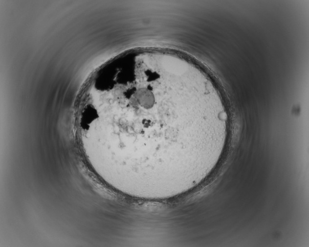 X0000115620974200912221224