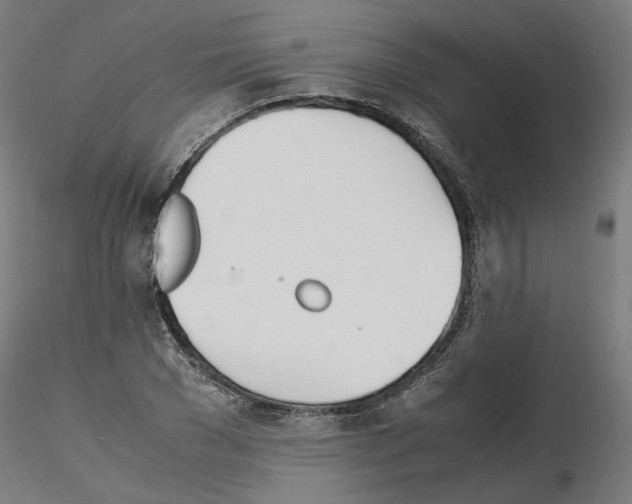 X0000115620977200912221224