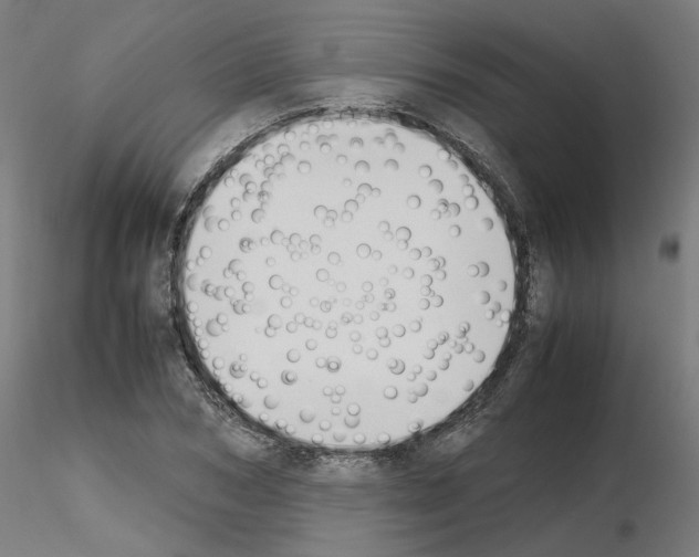 X0000115620978200912221224