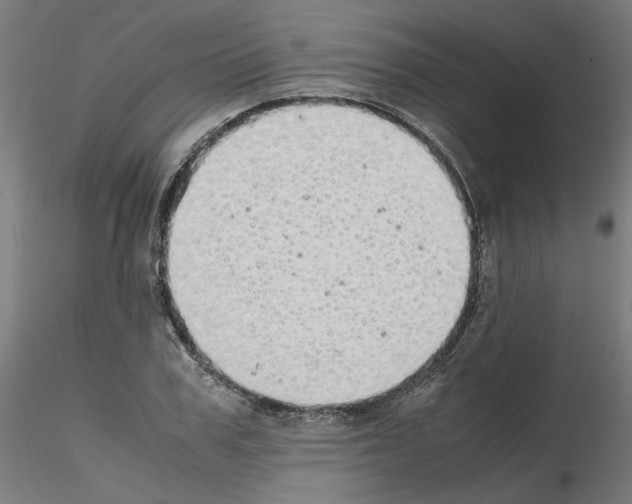 X0000115620979200912221224