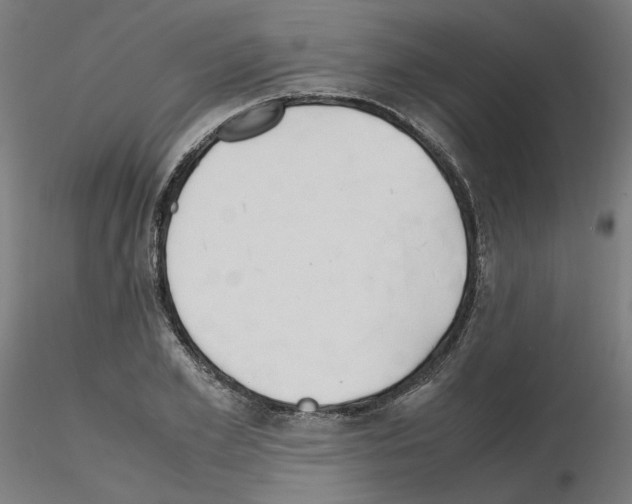 X0000115620981200912221224