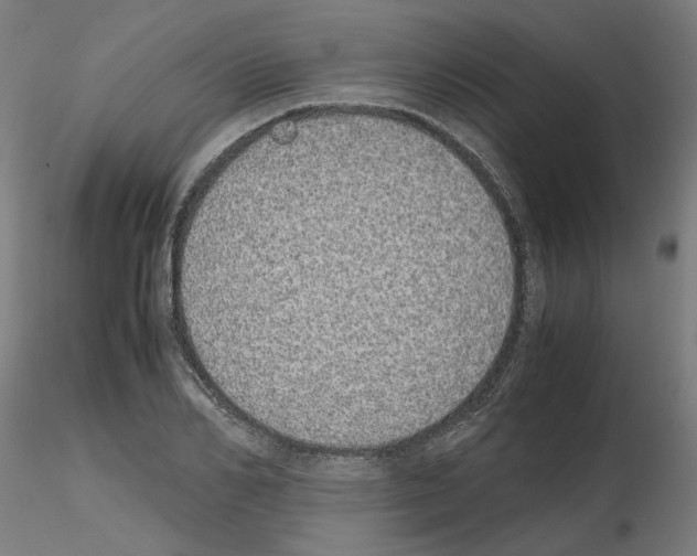 X0000115620982200912221224