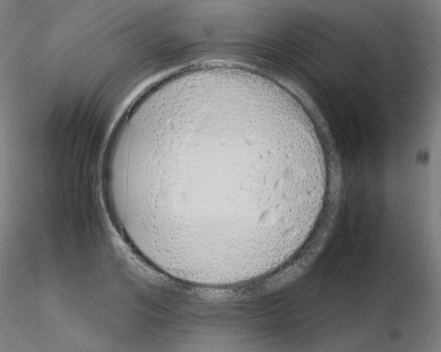 X0000115620984200912221224