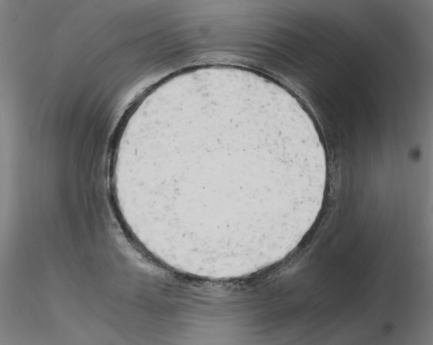 X0000115620987200912221224