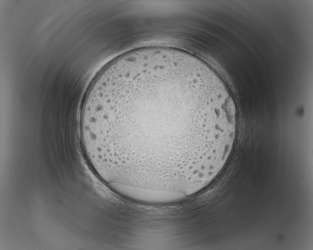 X0000115620988200912221224