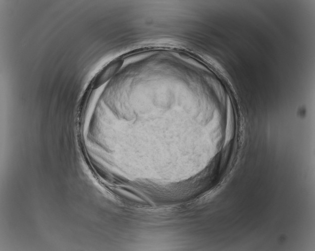 X0000115620989200912221224