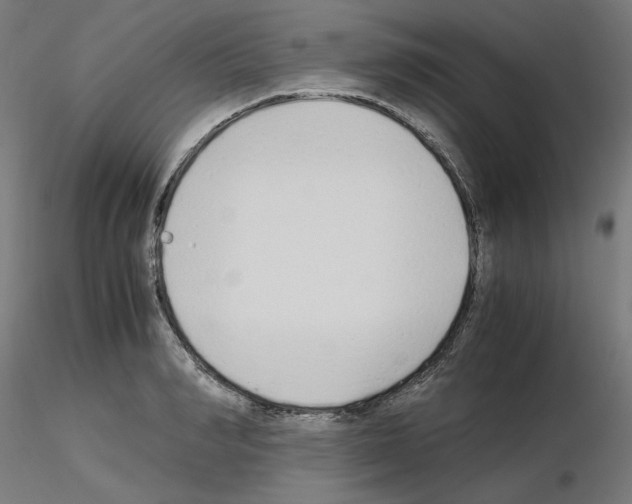 X0000115620990200912221224