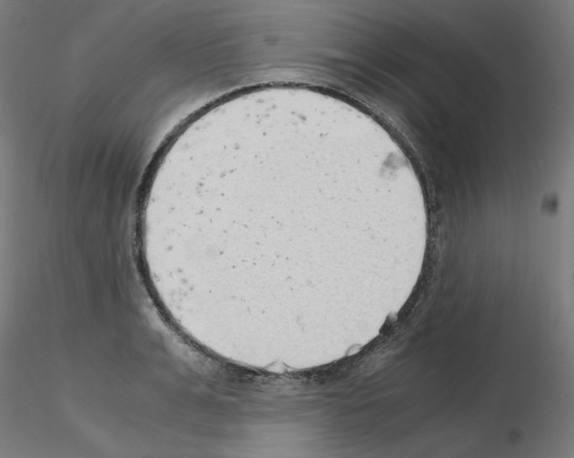 X0000115620991200912221224