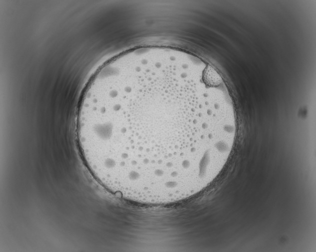X0000115620992200912221224
