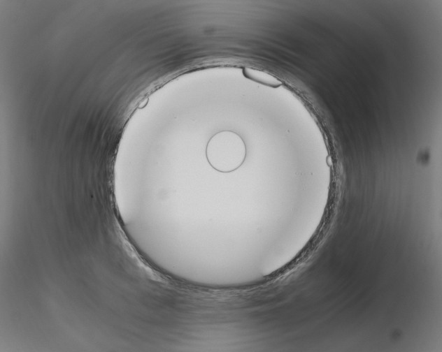 X0000115620993200912221224