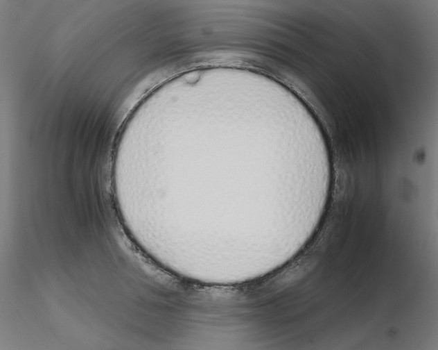 X0000115620994200912221224