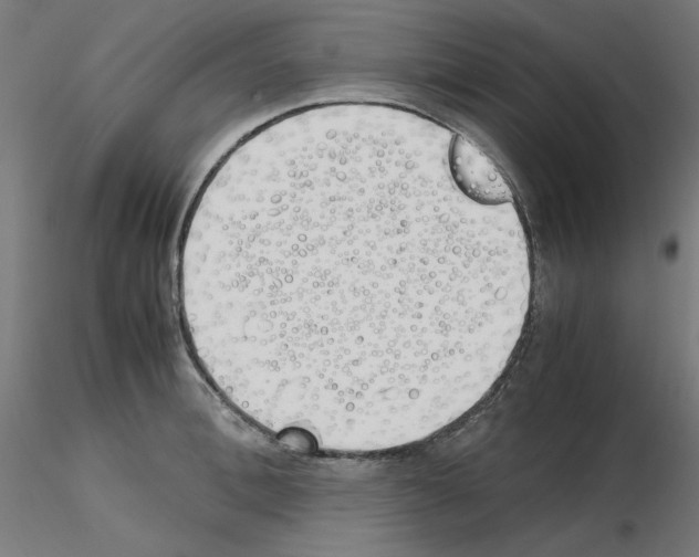 X0000115620996200912221224