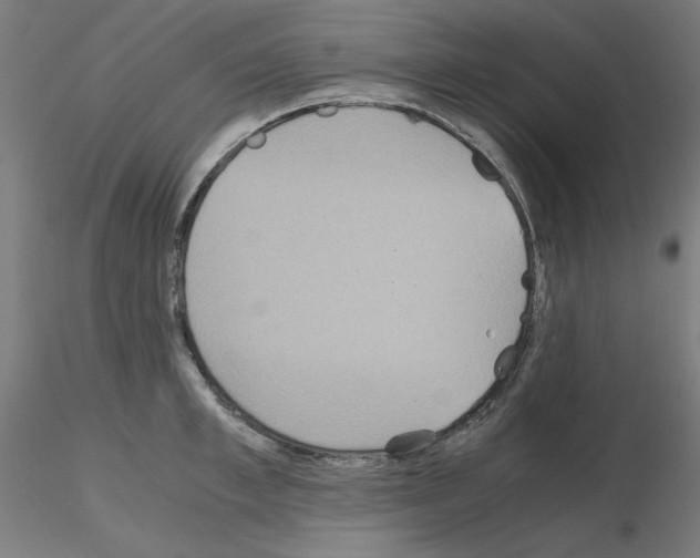 X0000115620997200912221224