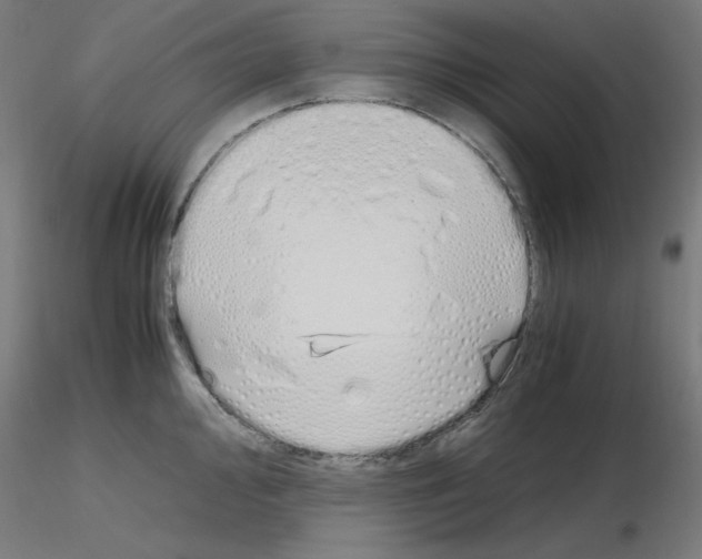 X0000115621000200912221224