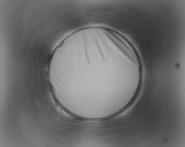 X0000115621001200912221224