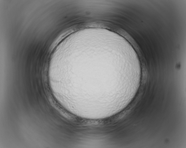 X0000115621002200912221224