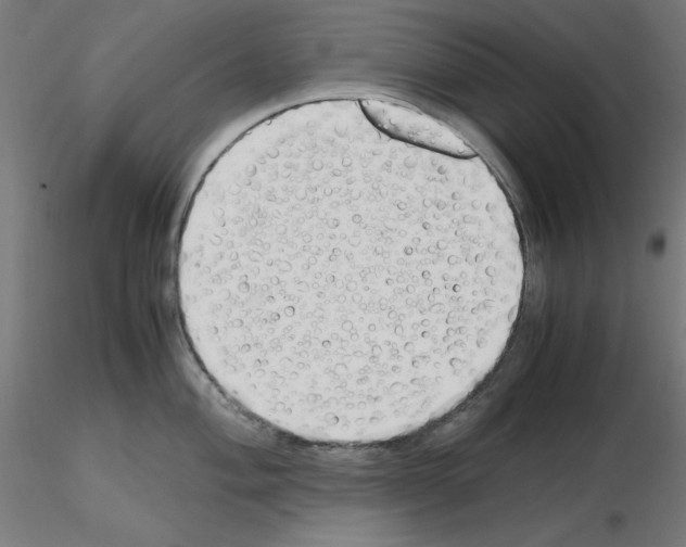 X0000115621004200912221224