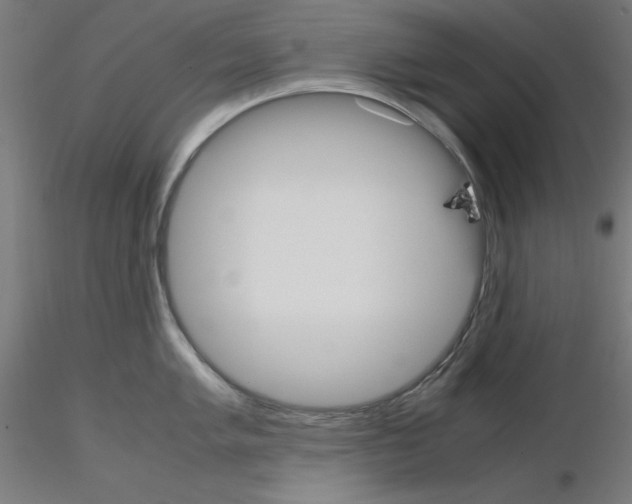 X0000115621005200912221224