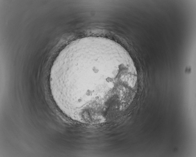 X0000115621009200912221223