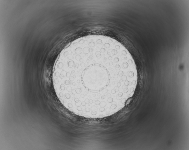 X0000115621010200912221223