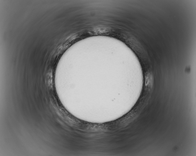 X0000115621011200912221223