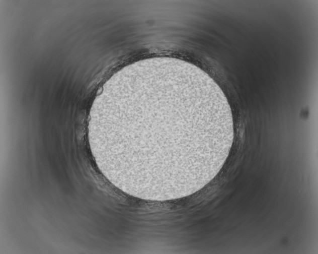 X0000115621012200912221223