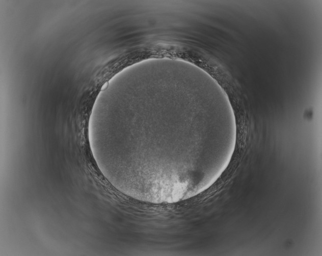 X0000115621013200912221223