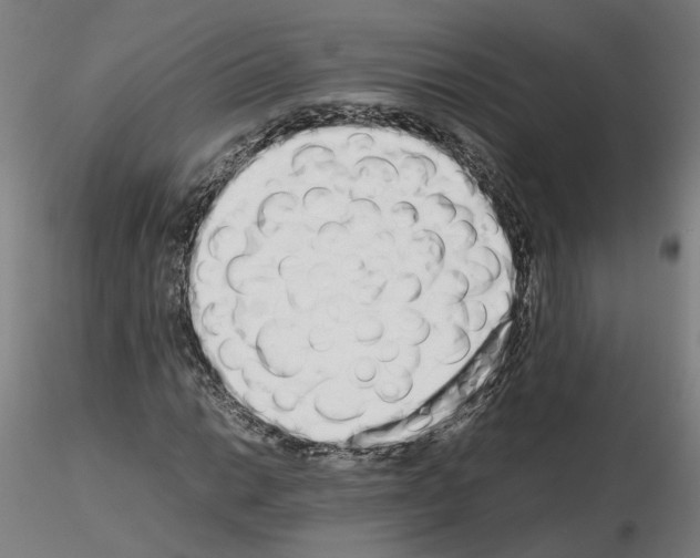 X0000115621014200912221223