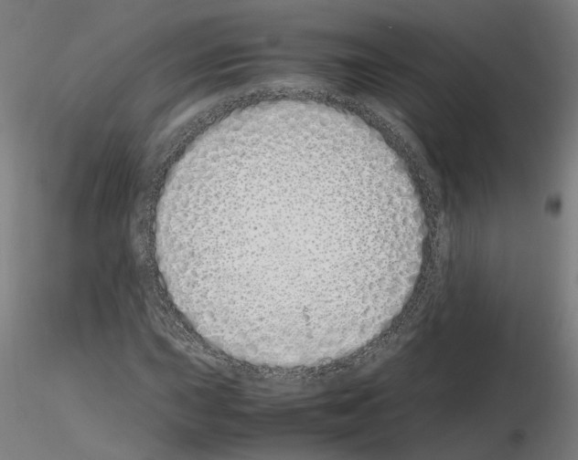 X0000115621015200912221223